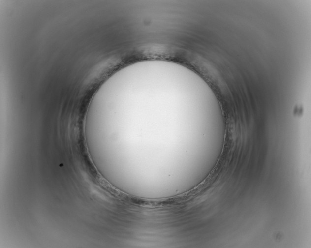 X0000092210690200709140902