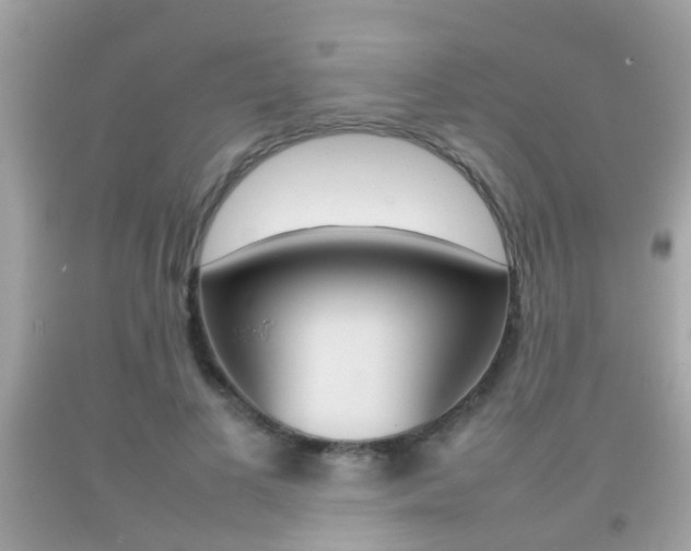 X0000092210693200709140902