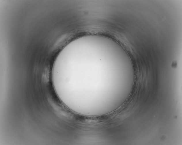 X0000092210694200709140902