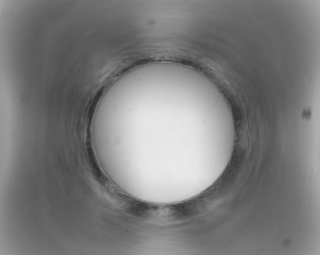 X0000092210695200709140902