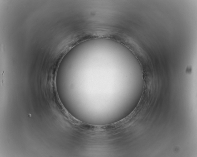 X0000092210696200709140902