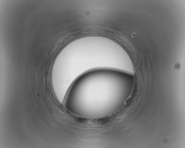 X0000092210697200709140902