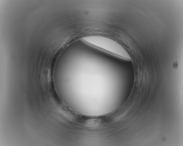 X0000092210700200709140902
