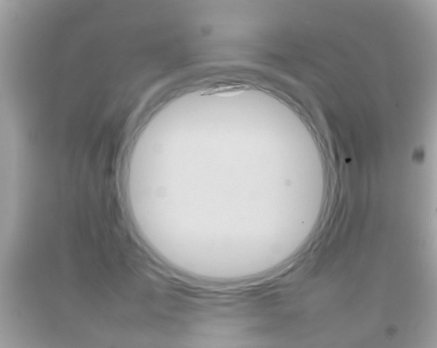 X0000092210701200709140902