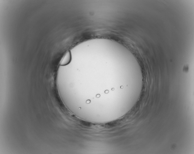 X0000092210703200709140902