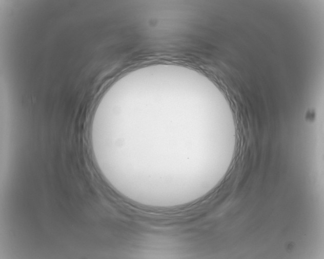 X0000092210705200709140902