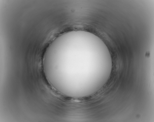 X0000092210706200709140902