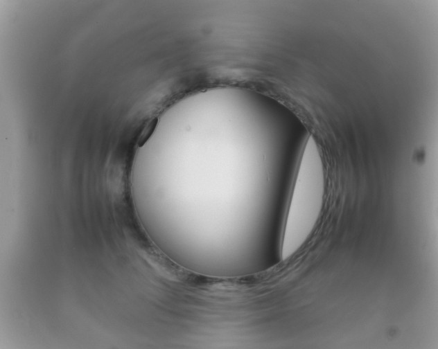 X0000092210708200709140902