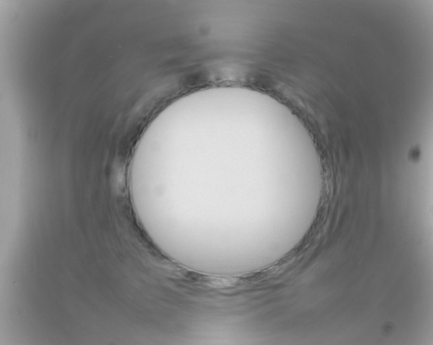 X0000092210709200709140902