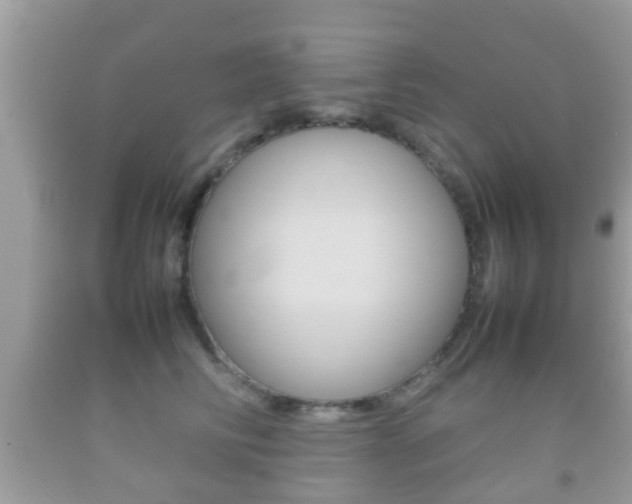 X0000092210710200709140901