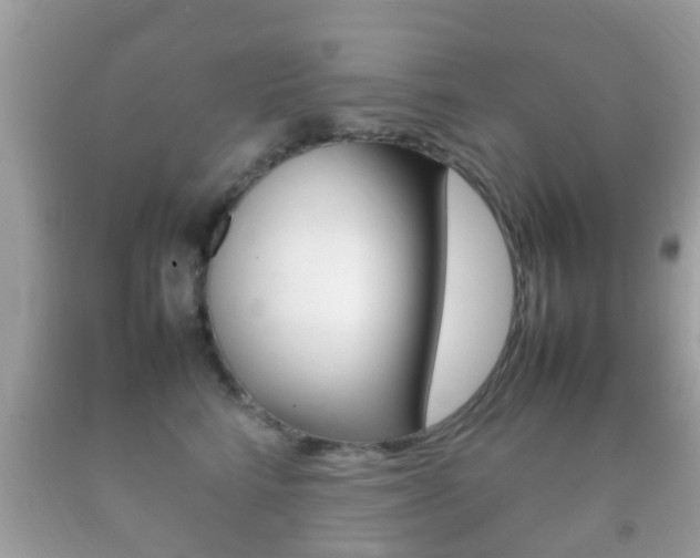X0000092210712200709140901