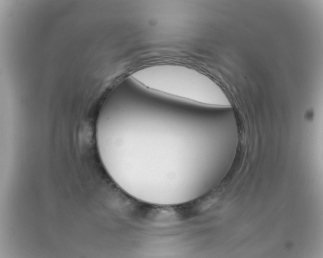 X0000092210715200709140901
