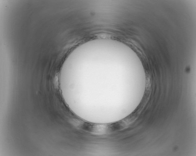 X0000092210717200709140901