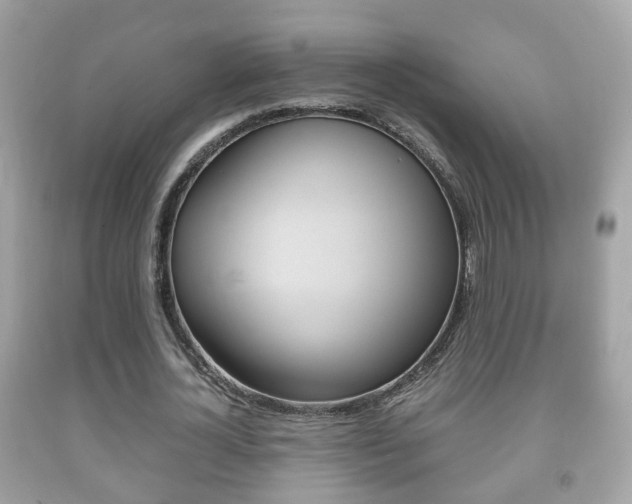 X0000092210724200709140901