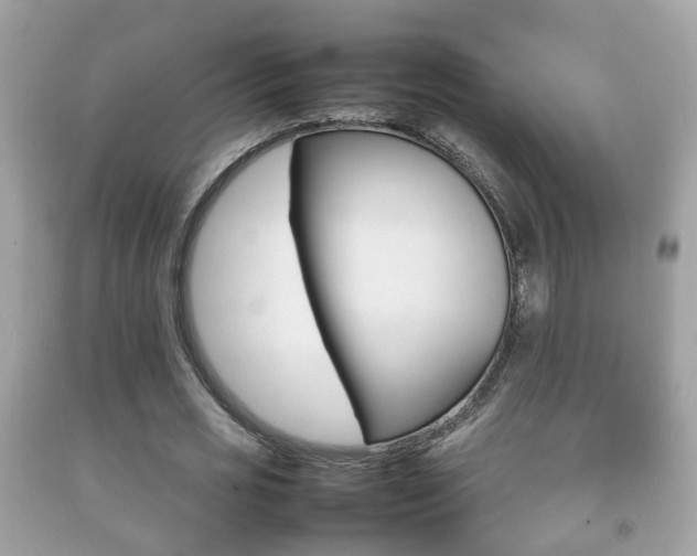 X0000092210725200709140901