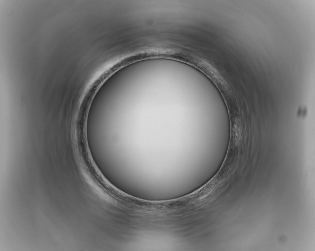 X0000092210726200709140901