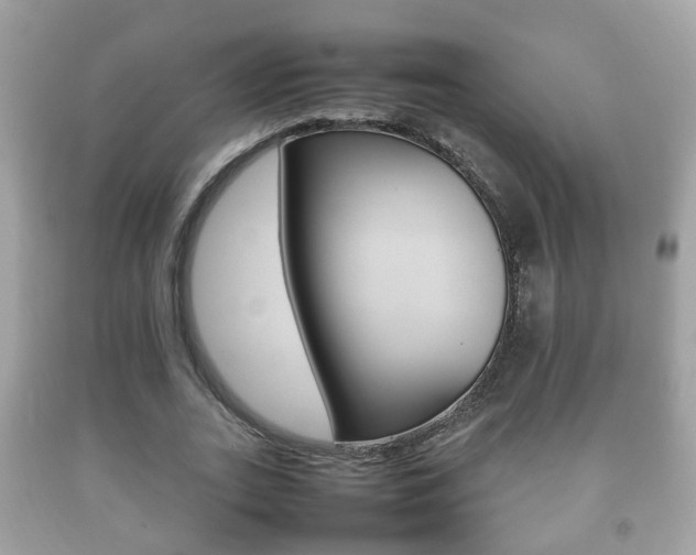 X0000092210727200709140901
