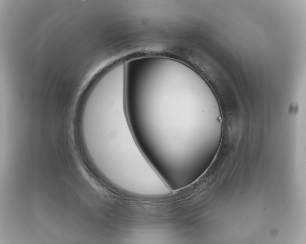 X0000092210728200709140901