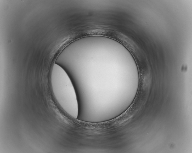 X0000092210729200709140901