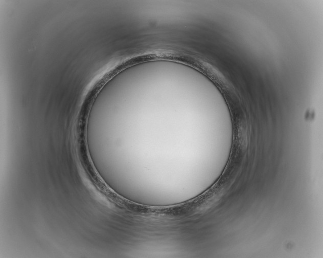 X0000092210730200709140901
