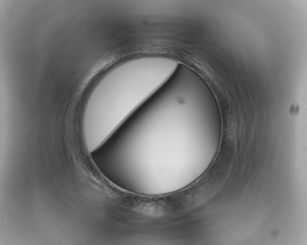 X0000092210731200709140901