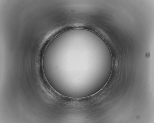 X0000092210732200709140901