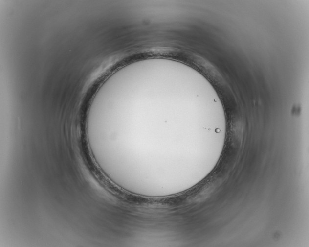 X0000092210734200709140901