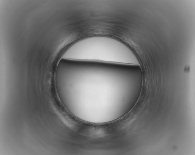 X0000092210735200709140901