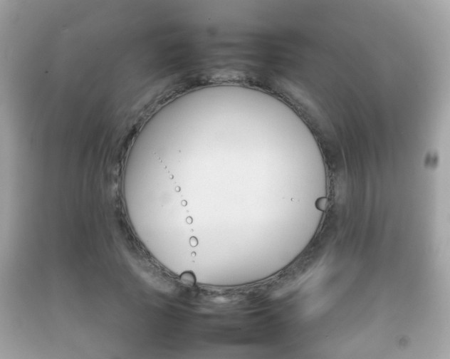 X0000092210737200709140901