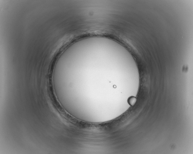 X0000092210738200709140901