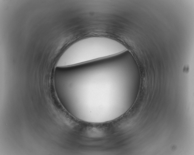 X0000092210739200709140901
