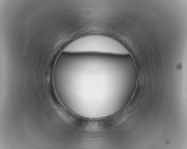 X0000092210740200709140901