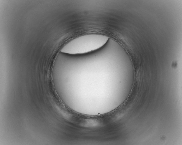 X0000092210741200709140901