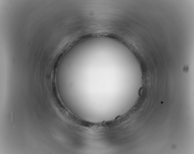 X0000092210742200709140901