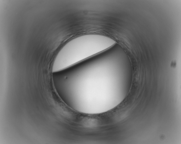 X0000092210743200709140901