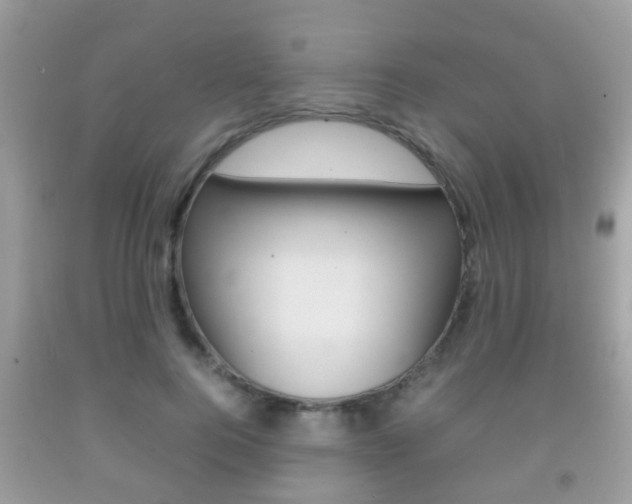 X0000092210744200709140901