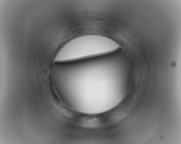 X0000092210747200709140901