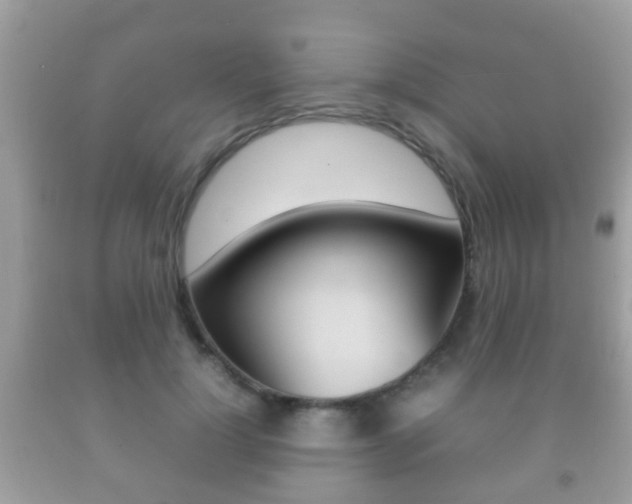 X0000092210748200709140901