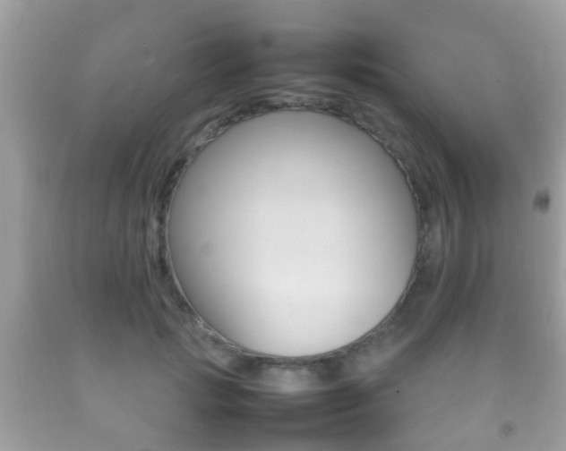X0000092210749200709140901