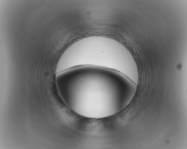 X0000092210750200709140901