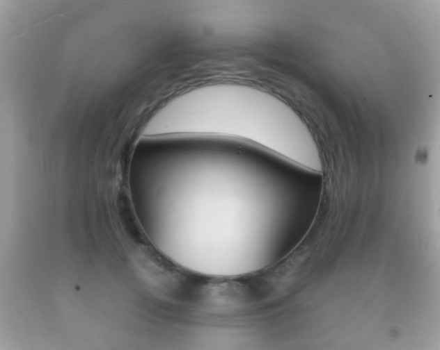 X0000092210752200709140901