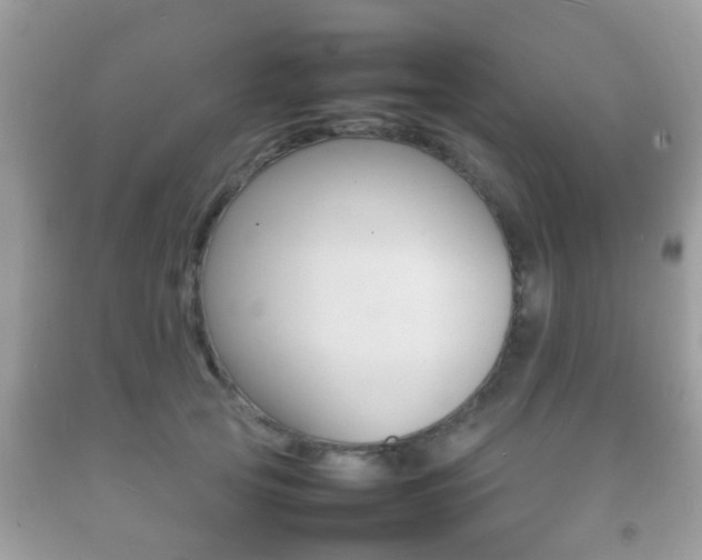 X0000092210753200709140901