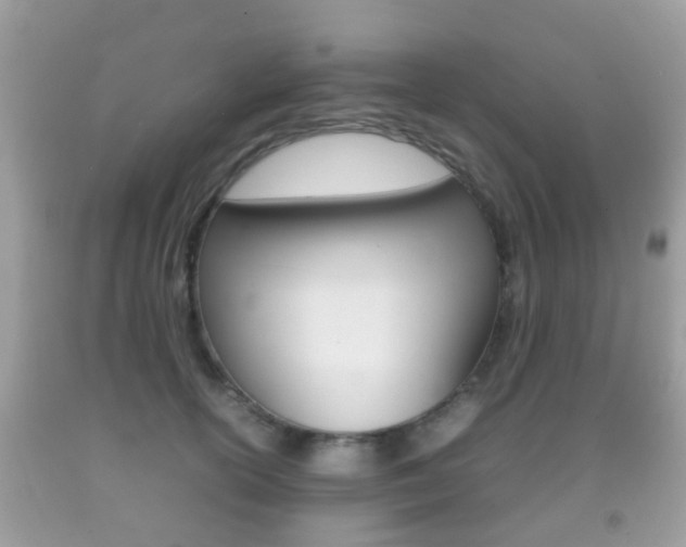 X0000092210754200709140901