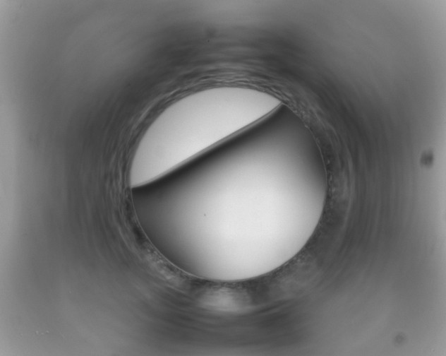 X0000092210755200709140901