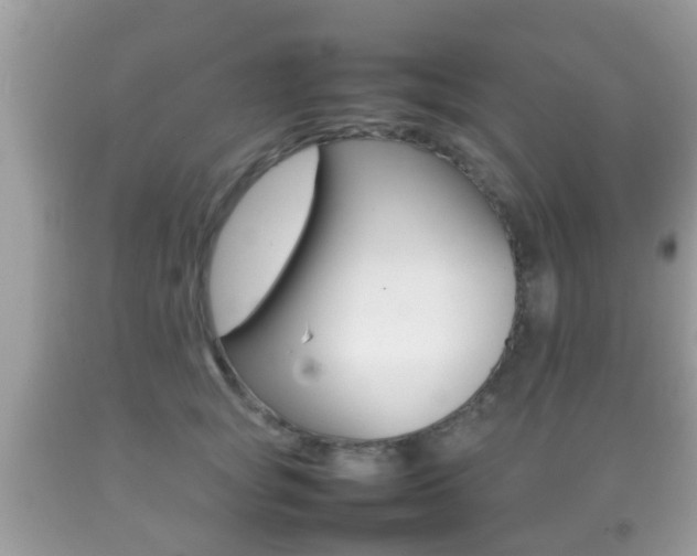 X0000092210757200709140901