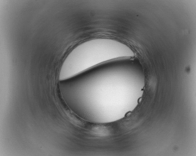 X0000092210759200709140901
