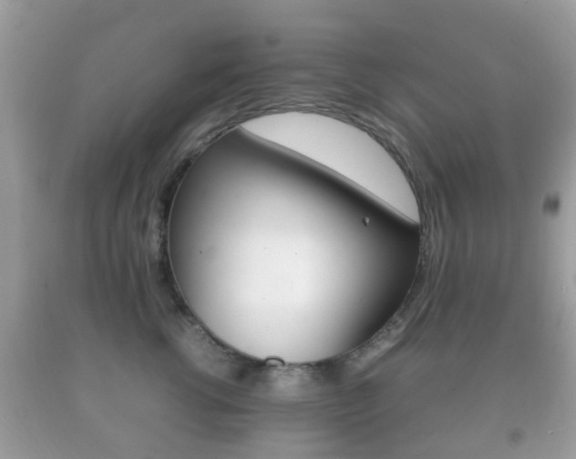 X0000092210762200709140901