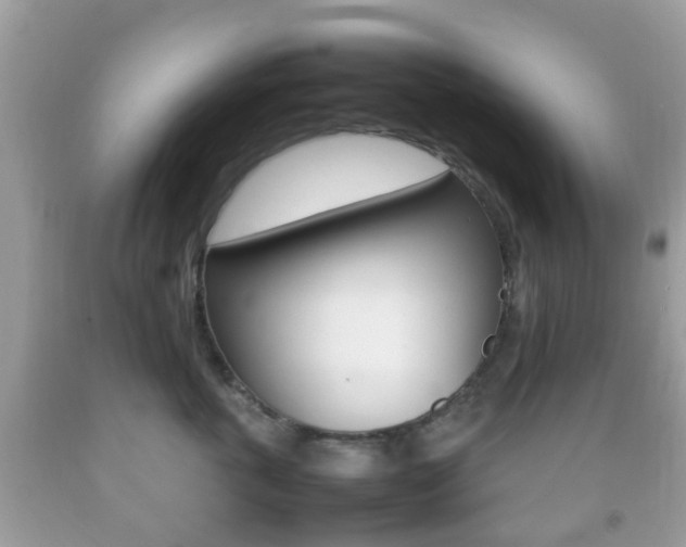 X0000092210763200709140901