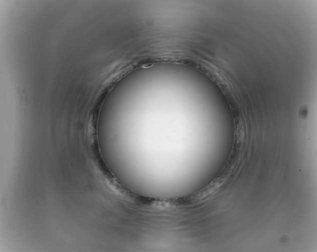 X0000092210764200709140901