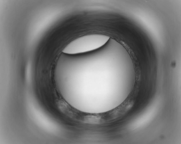 X0000092210765200709140901